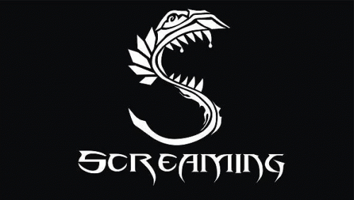 Screaming : Promo 2012